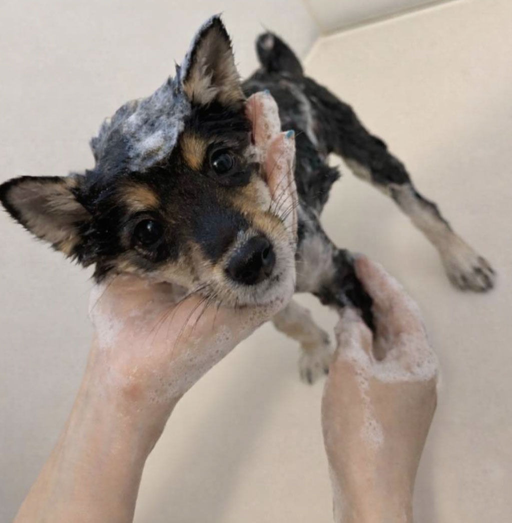 低刺激・高品質なケア